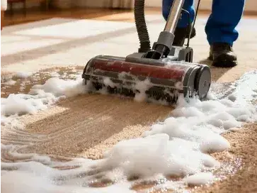 Intensive-Carpet-Cleaning_456_342_364_273_363_272.webp